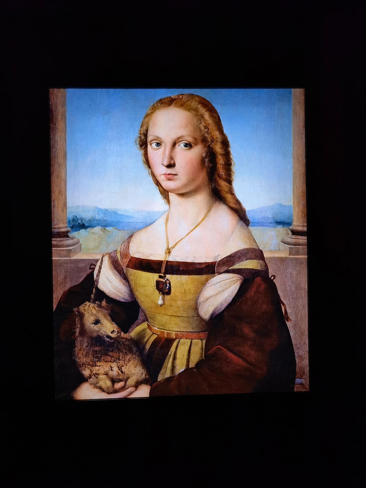 images/art/2020-12-13 拉斐尔的艺术/7.jpg